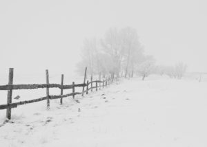 black wooden fence on snow field at a distance of black bare trees