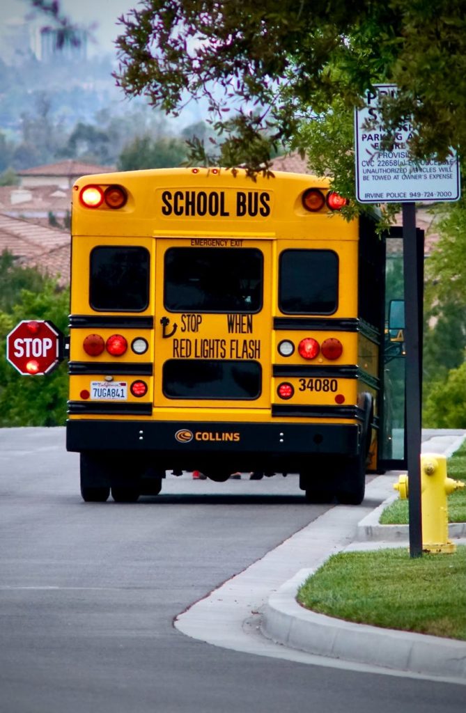 yellow school bus on the road